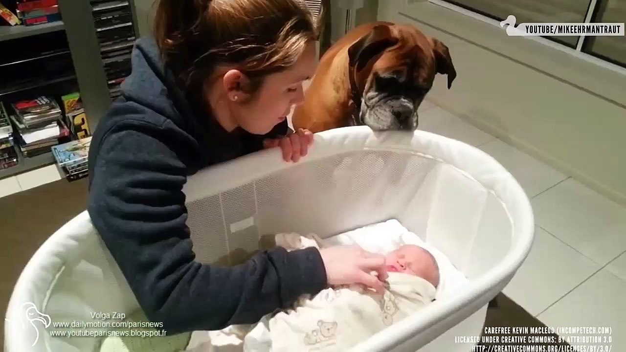 Dog Meets Baby - Chiens qui souhaitent la bienvenue aux nouveaux-nés