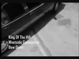 Westside Connection - King Of The Hill