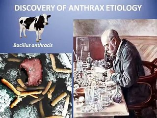 Robert Koch - Anthrax, Tuberculosis, and Cholera