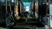 Rex chien flic - Intro Saison 13