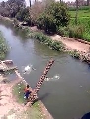 Desi Diving Board