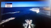 Mick Fanning Attacked By Great White Shark | Salty By Nature