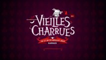 Vieilles Charrues. Dominique A