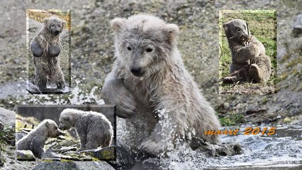 Hallo wereld !    ( deel 2 )