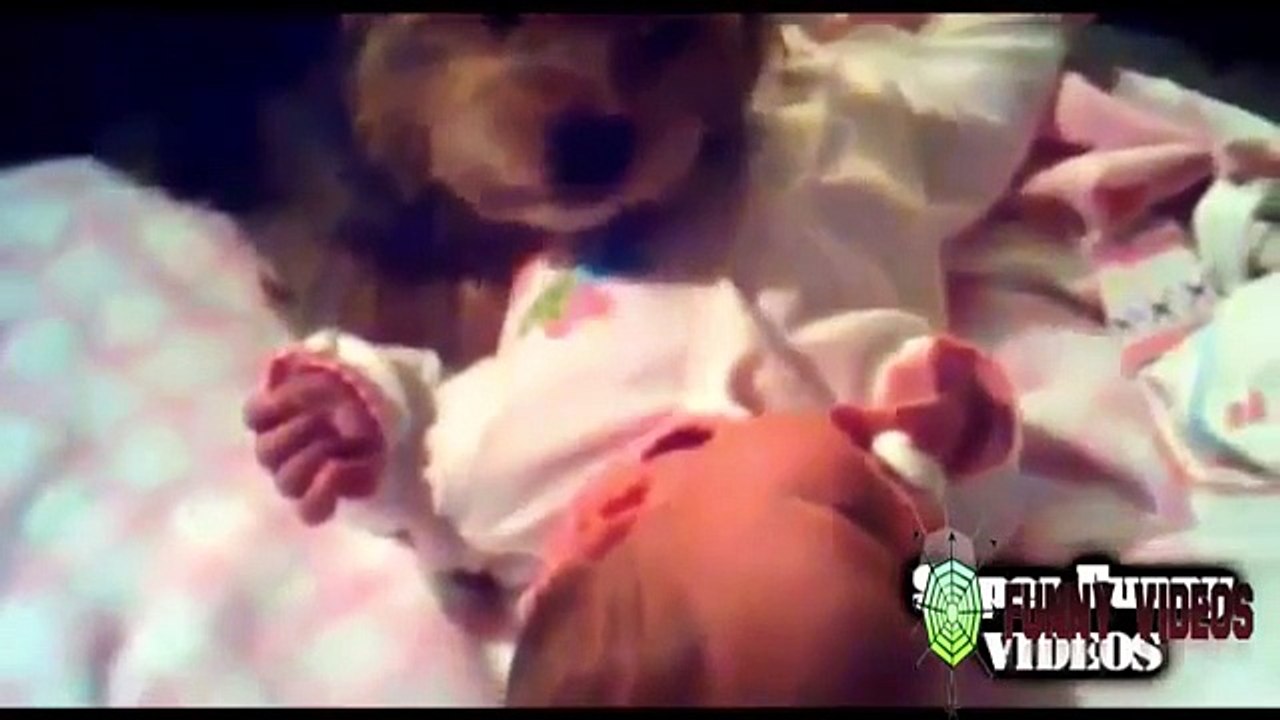 Funny Babies Video | Cute Videos,Funny Baby Laughing compilation 2015