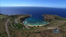 Blue Hawaiian Helicopters - Aerial introduction to the island of Oahu, Hawaii