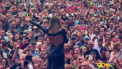 Vieilles Charrues. Les images de Brigitte