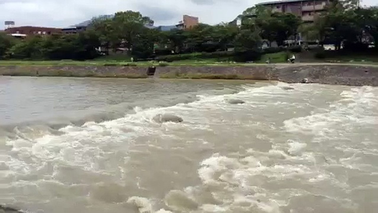 台風で恐ろしく様変わりした京都・鴨川  2015.7.19  Typhoon changed Kamogawa river in Kyoto into a life-threatening level.