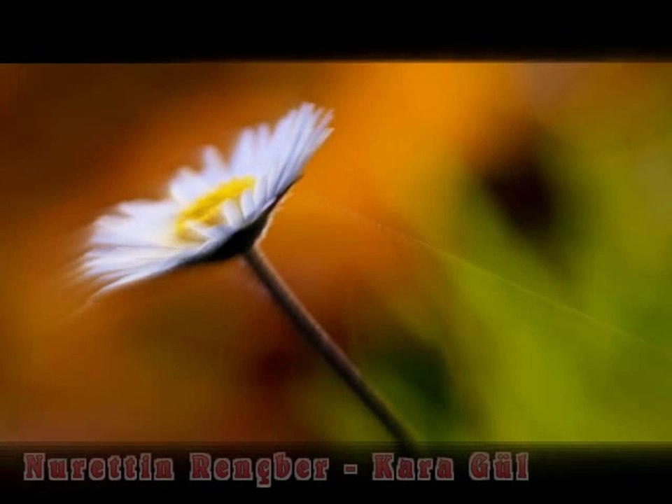 Nurettin Rençber - Kara Gül