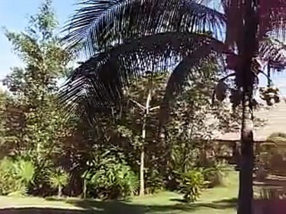 Barcelo Maya Colonial Beach - Mexico (Akumal, Riviera Maya)