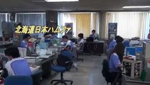 北海道日本ハムファイターズ「WE LOVE HOKKAIDOシリーズ２０１５」限定ユニフォーム、道庁でも着ています！