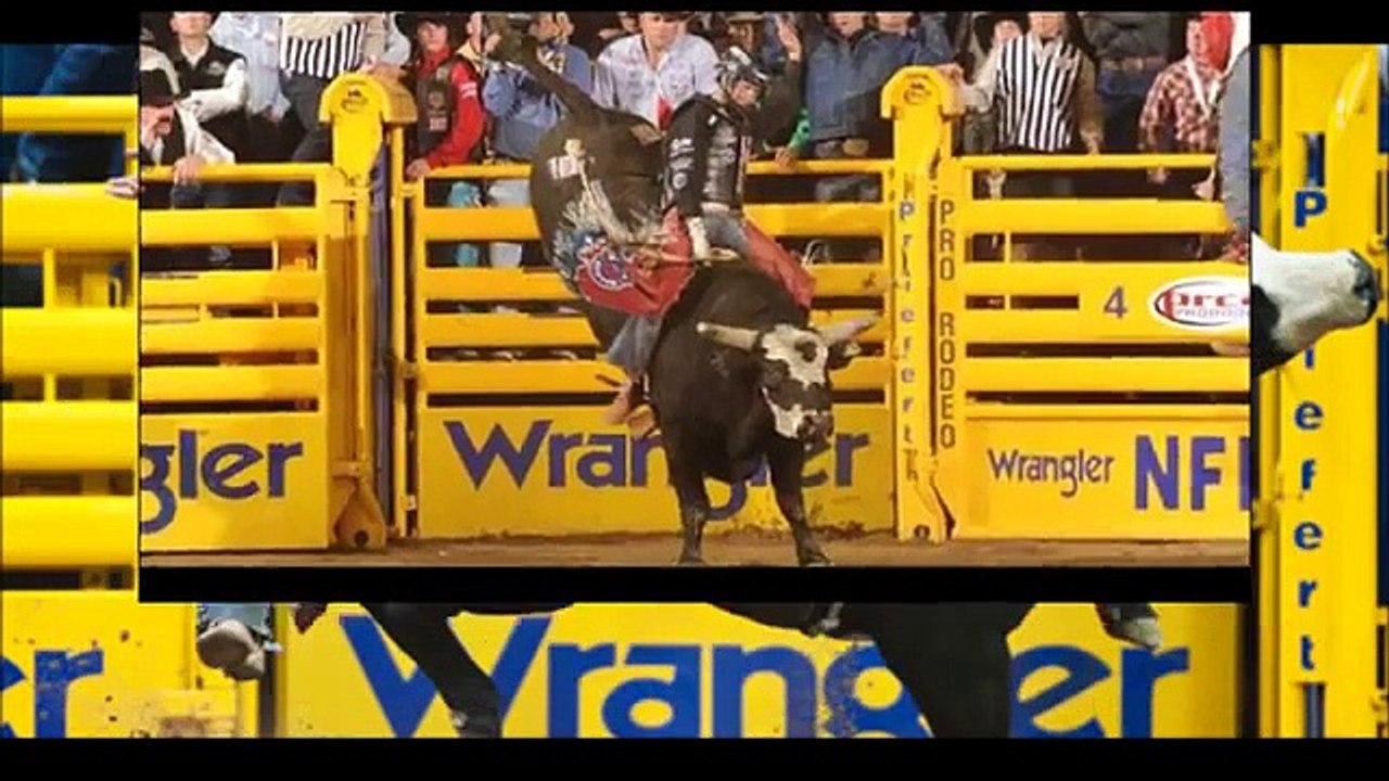 Rodeio em Touro e Cavalos