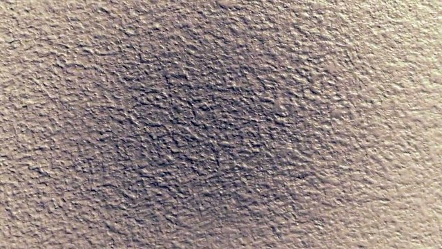 La circulation chez les fourmis