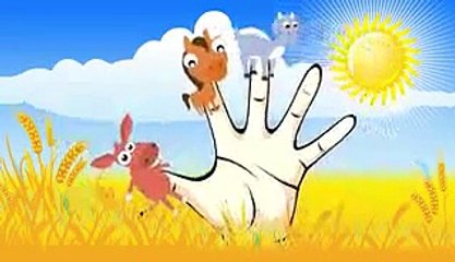 Finger Family Collection ANIMALS Nursery Rhyme Cartoon Songs For Children feat  Kinder Surprise Eggs
