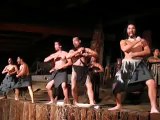 Haka Performance at Mitai Maori Village in Rotorua