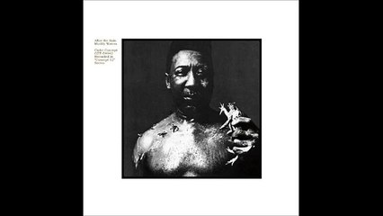 Muddy Waters - After The Rain - Full Album