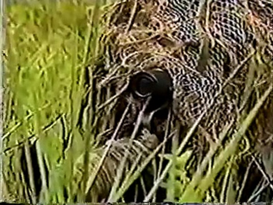 Reportaje Kaibil 2