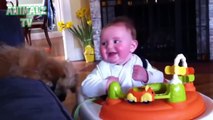 Funny Babies Laughing Hysterically at Dogs and Cats Compilation 2015 HD VIDEO