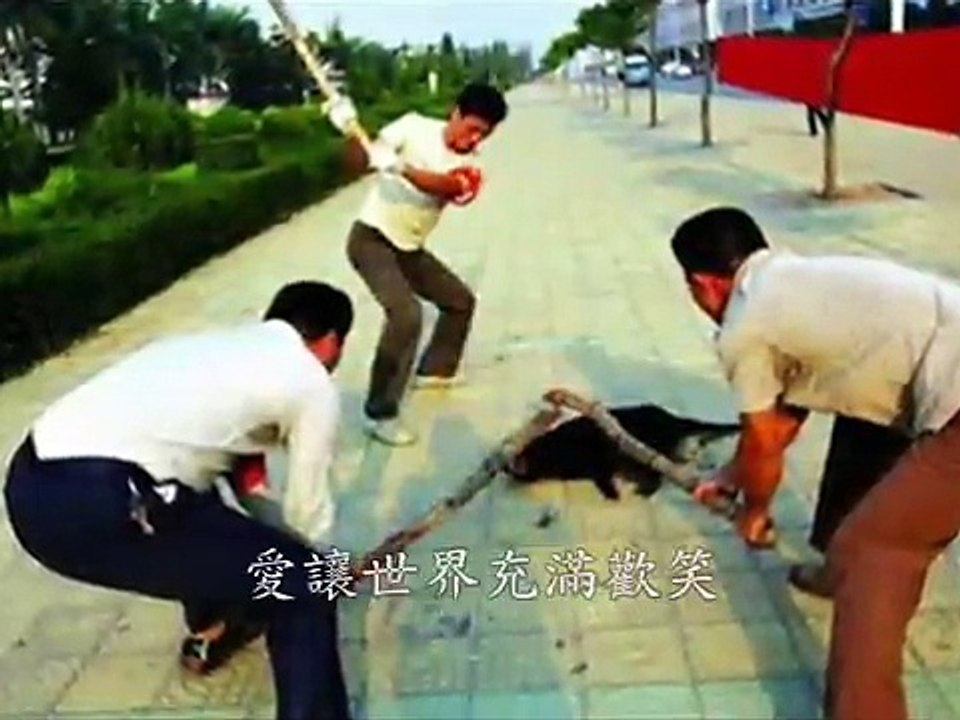 1202 Mouring Meeting For Slaughtered Chinese Dog
