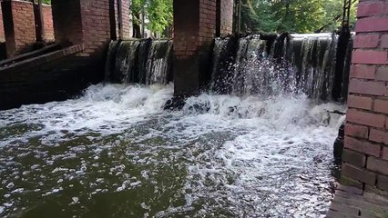 JOYbNięci nie leją wody