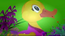 Five Little Ducks Nursery Rhyme With Lyrics Cartoon Animation Rhymes & Songs for Children
