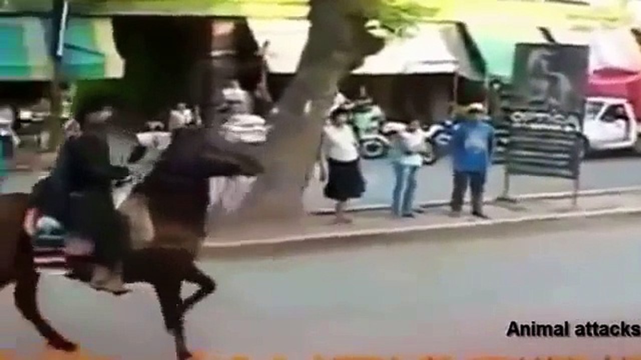 Brutal Animal Attacks on human