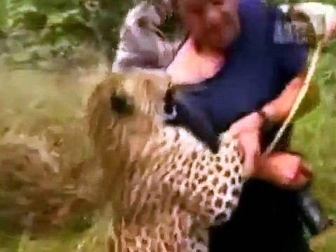 Heyvanların insanlara hücumları / Нападения животных на людей / Animal attacks on human