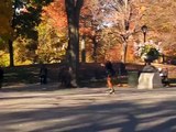 California Girls Central park inline skater