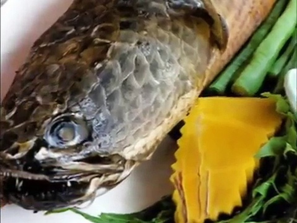 رازهای زندگی خامنه ای (محسن مخملباف )