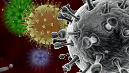 Le coronavirus MERS