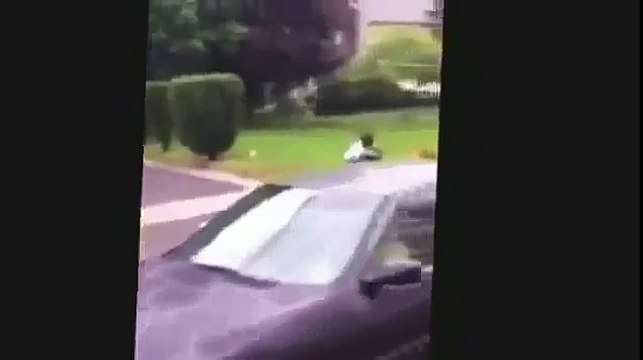 When Crazy Animals Attack Gruesome dog attack caught on camera as witnesses try to pull them off ~