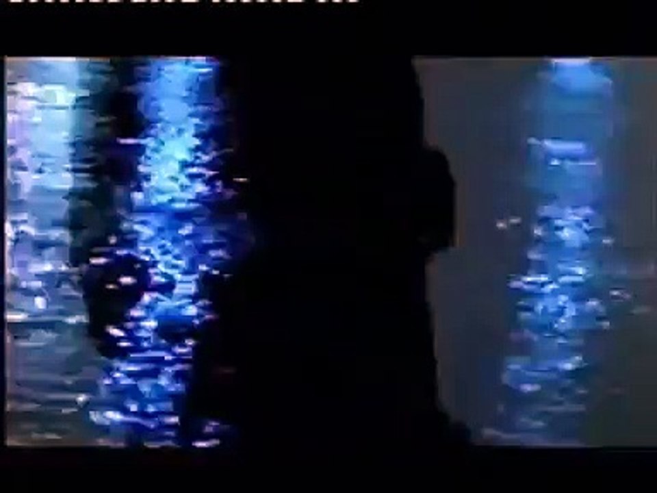 Down Low - Moonlight