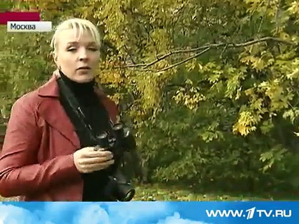 1 канал. В Москве прошли состязания по бёрдингу