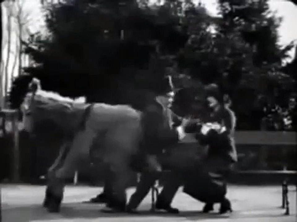 1912 - Max Et Son Âne - Max Linder