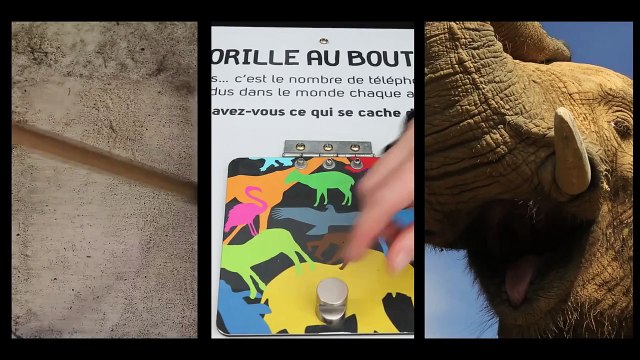 Campagne Pole to Pole au ZooParc de Beauval !