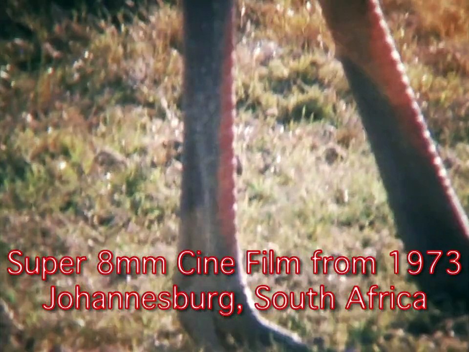 South African Wildlife on Super 8mm for, Cine Royal Transfers only