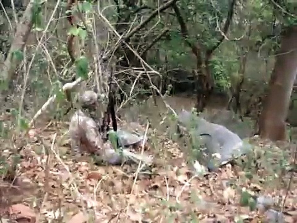 CACERIA DE CHACHALACAS