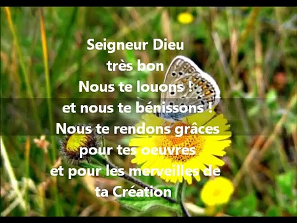 PSAUME DE LA CREATION.Mon Dieu Tu es grand, Tu es beau