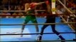 Julio Cesar Chavez vs Roger Mayweather