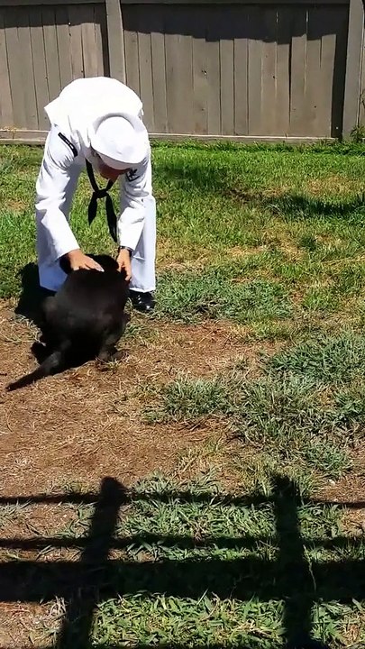 emotional soldier coming home