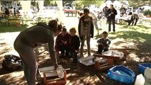 La fête de la science à Nice : animations pour enfants au 