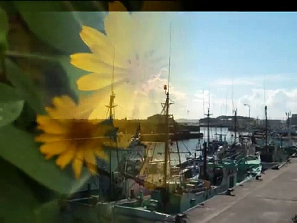 藤圭子 - 波止場女のブルース