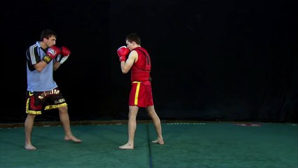 3d duan Wushu Sanda