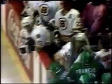 Hockey Fights and Fan Brawls