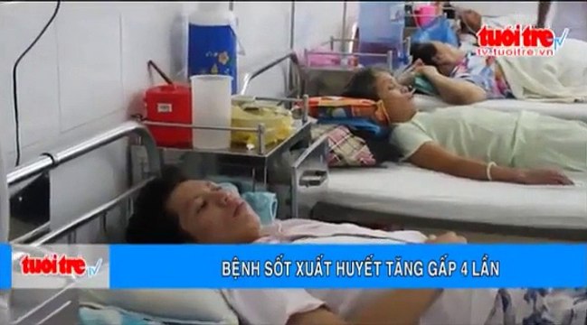 Soffell - Bệnh sốt xuất huyết tăng gấp 4 lần