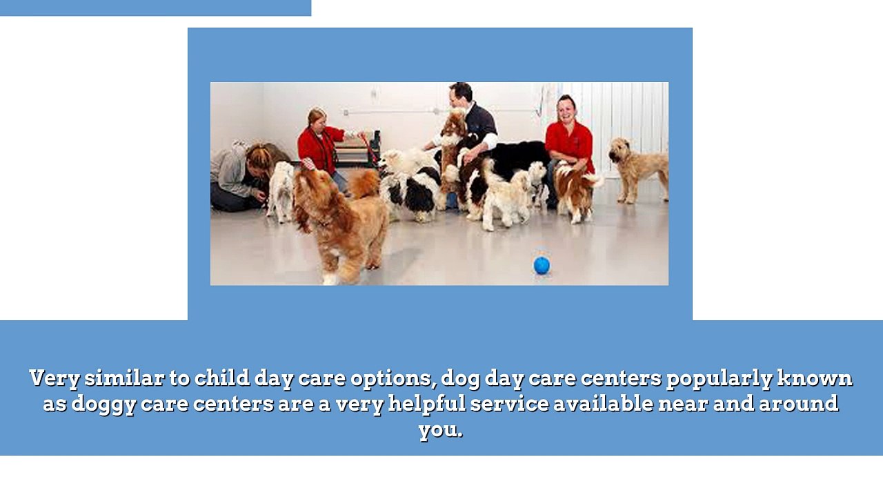 DOG DAY CARE……HOME AWAY FROM HOME FOR PETS