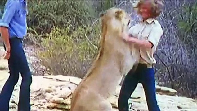 Christian the Lion - full documentation - (german) 3/3