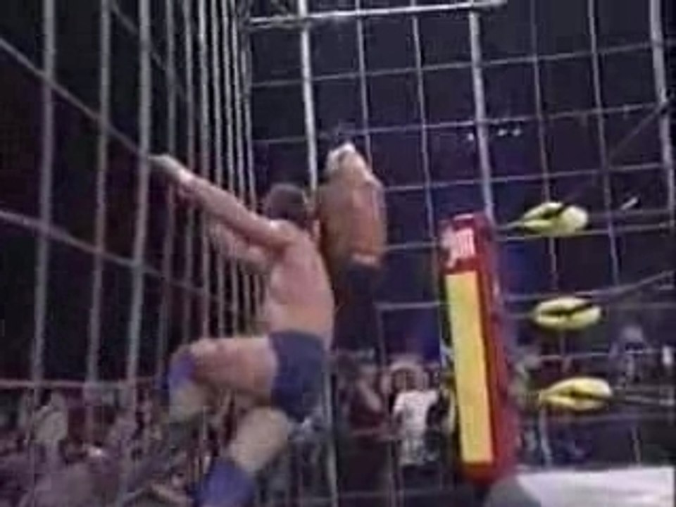 Hogan vs Piper HH 97 PRT2