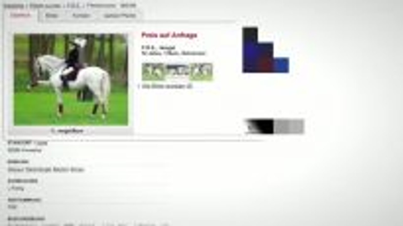 Buying a Horse