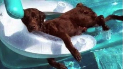 BAD HOLD MUSIC - 'Cooker'